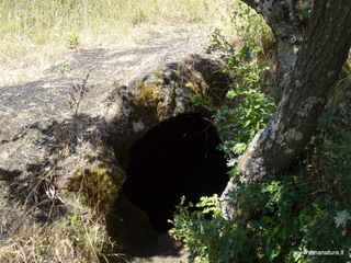 otta Piano Noce-11-07-2020 11